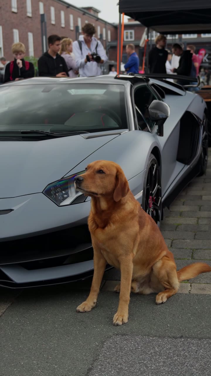 Standbild aus „Aventador SVJ“ für NeshForce
